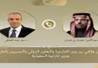 وزير الخارجية يؤكد مع نظيره السعودي أهمية خفض التصعيد وكبح التوترات في المنطقة