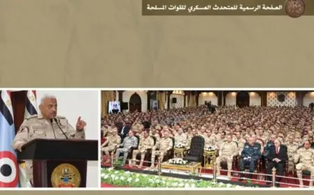 وزير الدفاع يجتمع بقادة وضباط القوات المسلحة في لقاء مهم بالفيديو