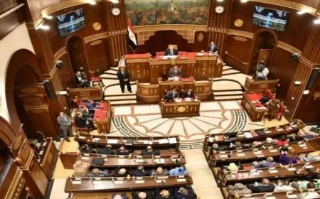 الشيوخ يطلق مناقشات شاملة لحماية الأطفال من مخاطر الإنترنت ووسائل التواصل الاجتماعي