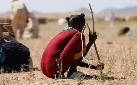 أزمة أطفال السودان تتفاقم مسؤولة أممية تحذر من خطر متزايد تستدعي اهتمام العالم الفوري