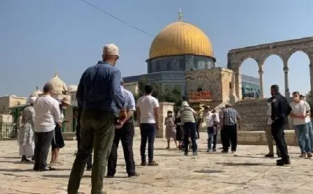 مستوطنون يطلقون مسار اقتحام جديد داخل المسجد الأقصى في انتهاك صارخ للقوانين الدولية