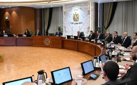 رئيس الوزراء يتناول خطوات فعالة لحماية الأطفال من المخاطر المحتملة للمحتوى الضار على وسائل التواصل الاجتماعي