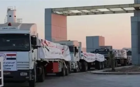 فتح معبر رفح ينهي مخطط التهجير بفضل القيادة المصرية الحكيمة