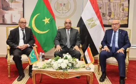 وزير العدل و رئيس المحكمة العليا الموريتانية يناقشان تعزيز التعاون القضائي