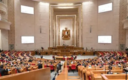 العطيفي يمثل برلمان حماة الوطن وداود يشغل منصب الوفد