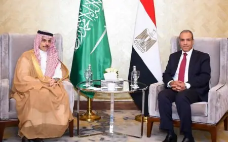 وزير الخارجية المصري والسعودي يؤكدان ضرورة احتواء التوترات ومنع التصعيد في المنطقة