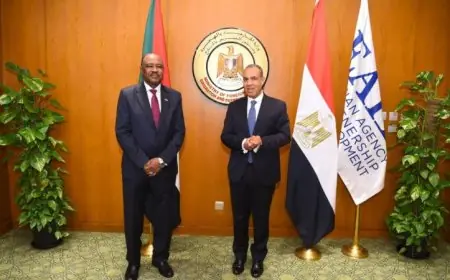 عبد العاطي ونظيره السوداني يقدمان تكريماً للفريق الطبي في القافلة الطبية بالسودان