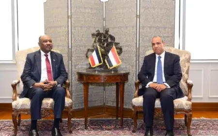 وزير الخارجية يناقش آخر تطورات الأوضاع في السودان مع نظيره السوداني