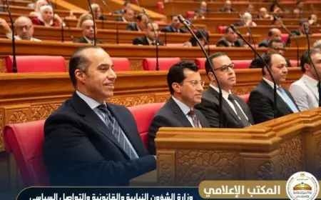 وزير الشؤون النيابية يعلن عن تعديلات قانونية جديدة لمواكبة التطورات الكبيرة في الرياضة