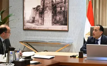 رئيس الوزراء يناقش ملفات هامة مع وزير المالية لتعزيز الأداء الحكومي