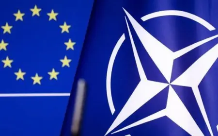 الناتو ينبه من استخدام قضايا النوع الاجتماعي كأداة في النزاعات والحروب الحديثة