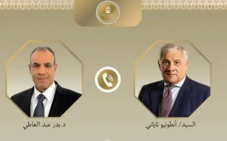 عبد العاطي يؤكد على أهمية خفض التصعيد في المنطقة كأولوية لمصر