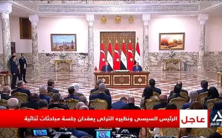 الرئيس السيسي وأردوغان يوقعان البيان التاريخي لمجلس التعاون في اجتماع مهم