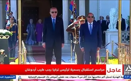 زيارة أردوغان إلى القاهرة تعزز العلاقات المصرية التركية وتجدد الزخم الدبلوماسي