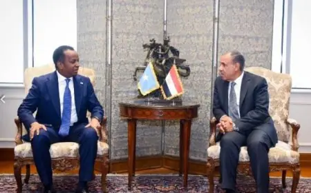 وزير الخارجية المصري يعزز موقف مصر الثابت في دعم وحدة الأراضي الصومالية