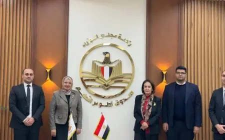 تطوير التعليم يعزز التعاون مع لجنتي حقوق الإنسان ومكافحة الهجرة غير الشرعية