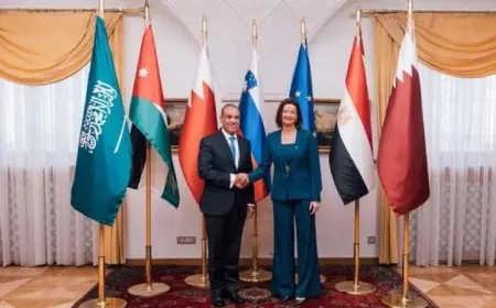 وزير الخارجية يشارك في اجتماع اللجنة الوزارية العربية الإسلامية حول غزة في سلوفنيا