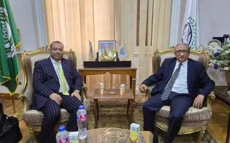 جعفر الصادق: دعم مصر والرئيس السيسي لإعمار السودان شرف تاريخي لا يُنسى