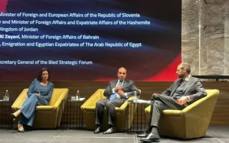 وزير الخارجية يتحدث في حلقة نقاشية لتعزيز آفاق السلام في الشرق الأوسط
