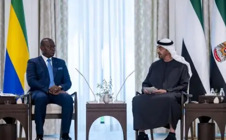 رئيس الإمارات ورئيس الجابون يناقشان تعزيز التعاون الثنائي في أبو ظبي