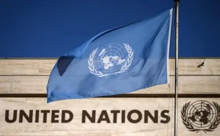 الأمم المتحدة تكشف عن تقارير تفيد برش إسرائيل لمبيدات سامة عند الخط الأزرق مع لبنان