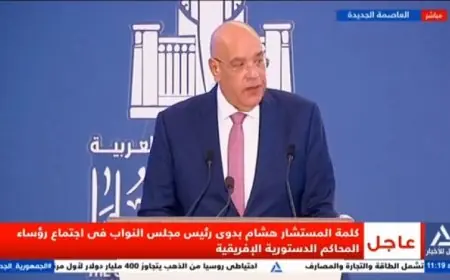 المستشار هشام بدوي يؤكد أهمية اجتماع المحاكم الدستورية الإفريقية لتعزيز العدالة