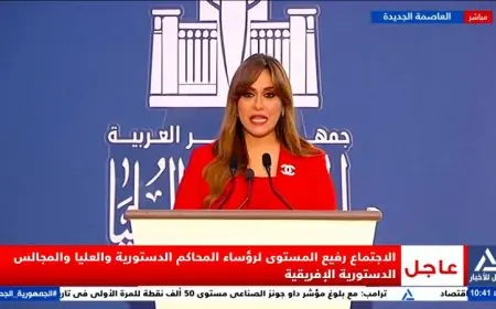 اجتماع القاهرة التاسع لرؤساء المحاكم الدستورية والعليا الإفريقية يعزز التعاون القانوني في القارة