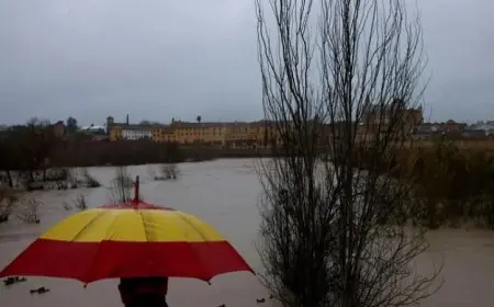 العاصفة مارتا تجتاح مزارع شبه الجزيرة الأيبيرية وتسبب أضرارًا واسعة