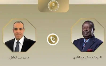 عبد العاطي يناقش مع وزير الخارجية الكيني تعزيز التعاون الثنائي بين مصر وكينيا