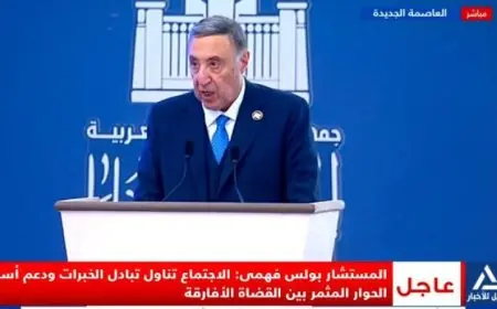 المستشار بولس يؤكد عدم قابلية القضاة للعزل حتى سن التقاعد ويشدد على عدم جواز فصلهم