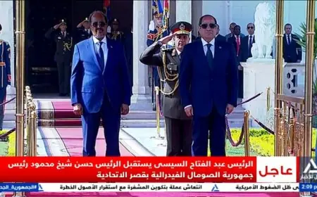 الرئيس السيسي يكشف عن تفاصيل كلمته في المؤتمر الصحفي المشترك مع نظيره الصومالي