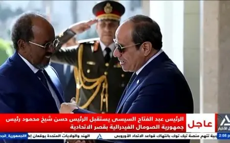 الرئيس السيسي يعقد لقاءً هاماً مع رئيس جمهورية الصومال الفيدرالية الشقيقة