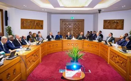 وزير الخارجية يجتمع بسفراء مصريين سابقين خبراء في الشأن الأفريقي