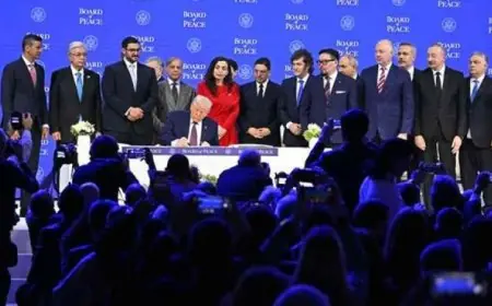 برلماني أوروبي يؤكد عدم إمكانية مجلس السلام كبديل للأمم المتحدة