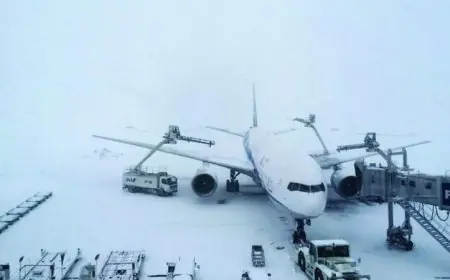 كوريا الجنوبية تلغي 163 رحلة جوية في مطار جيجو الدولي بسبب العواصف الثلجية القاسية