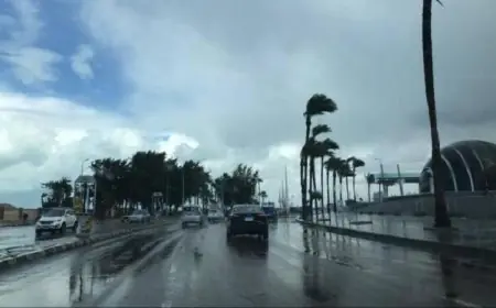 الأرصاد الجوية تكشف تفاصيل طقس اليوم المائل للحرارة مع درجة حرارة عظمى تصل إلى 28 درجة في القاهرة