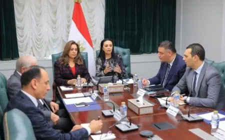 التضامن تعتزم تنظيم مهرجان شامل للحرف التراثية في جميع المحافظات