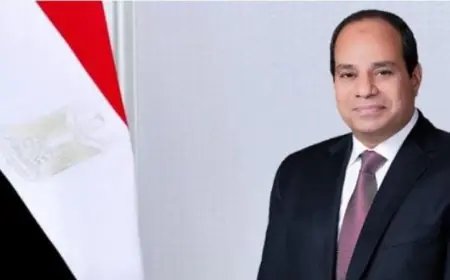 الرئيس السيسي يعود إلى مصر بعد زيارة ناجحة للإمارات لتعزيز العلاقات الثنائية