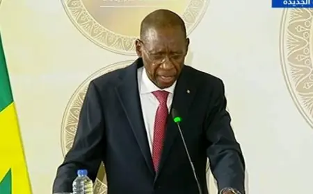 شيخ نيانج يؤكد توافق الآراء بين مصر والسنغال حول القضايا الأفريقية