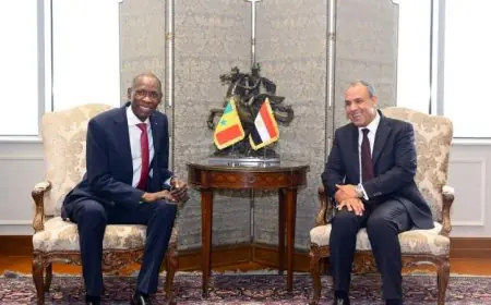 مباحثات مصرية سنغالية لتعزيز الشراكة ودعم التنمية في أفريقيا صور جديدة