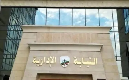النيابة الإدارية تقدم أخصائية أطفال للمحاكمة التأديبية بسبب وفاة رضيع في إدفو