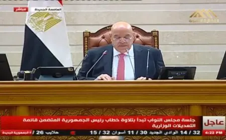نائب رئيس مجلس النواب هشام بدوي يرأس جلسة عامة حاسمة للمجلس