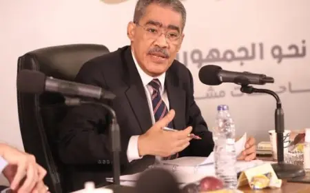 رئيس مجلس النواب يعلن تعيين ضياء رشوان وزيرا للإعلام