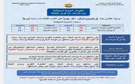 طقس دافئ نهارا وبارد ليلا غدا في القاهرة مع توقعات بالصغرى 14 درجة