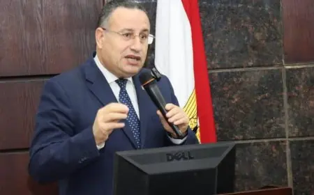 الدكتور عبدالعزيز قنصوة يتولى منصب وزير التعليم العالي والبحث العلمي في حكومة جديدة