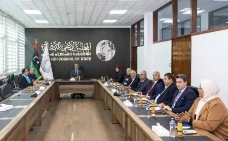 اجتماع رئيس المجلس الأعلى الليبي والمبعوثة الأممية لبحث التطورات السياسية في ليبيا