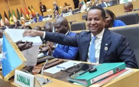 الصومال يحصل على عضوية مجلس السلم والأمن في الاتحاد الإفريقي