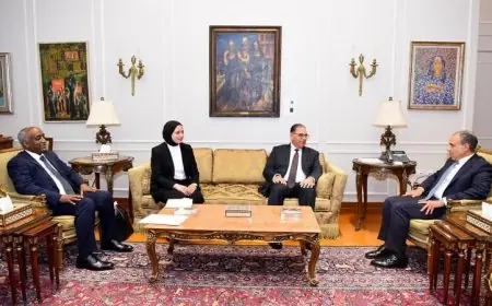 عبد العاطي يجتمع بنواب الوزير لتعزيز التعاون في دعم أولويات السياسة الخارجية