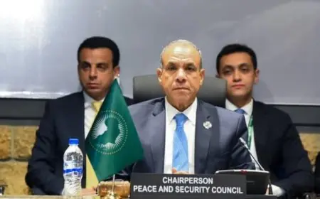 عبد العاطي يقود جلسة مشاورات غير رسمية لمجلس السلم والأمن حول تطورات السودان