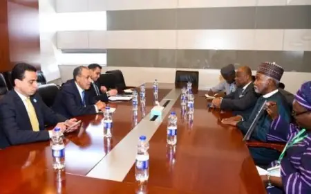وزير الخارجية يعقد اجتماعًا مع نظيره النيجيري خلال قمة الاتحاد الأفريقي